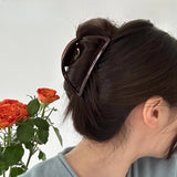 Flyshadow South Korea Retro Grip Hair Accessories - Chocolate Brown Large Hair Clip and Fish-Shaped Barrettes